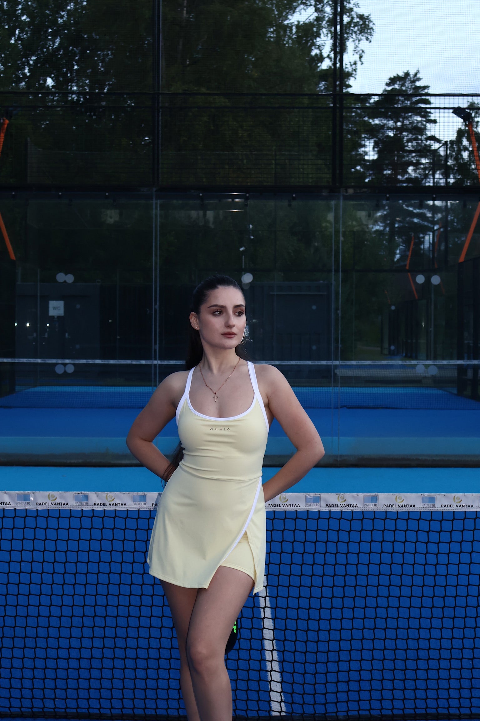 Serena Court Dress